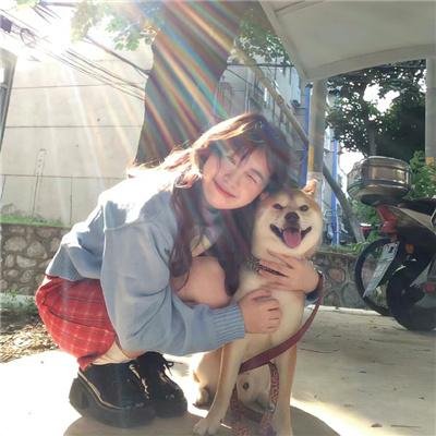 文豪野犬第一季